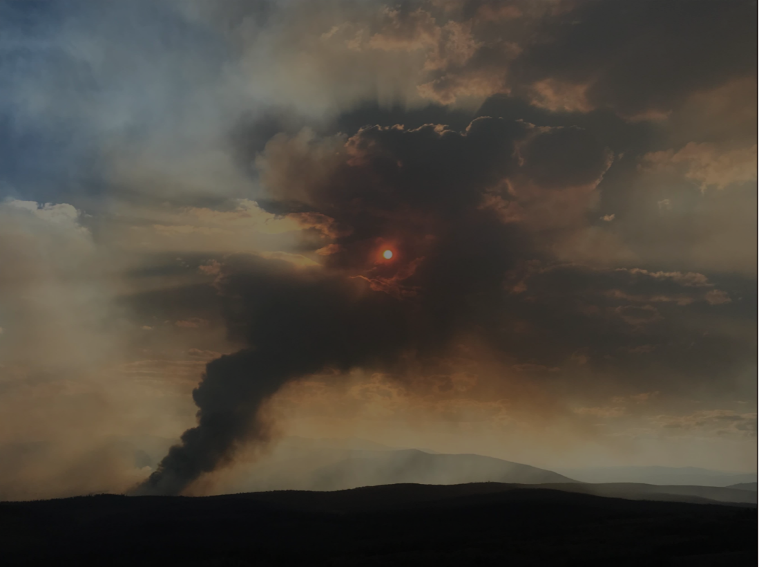 wildfire