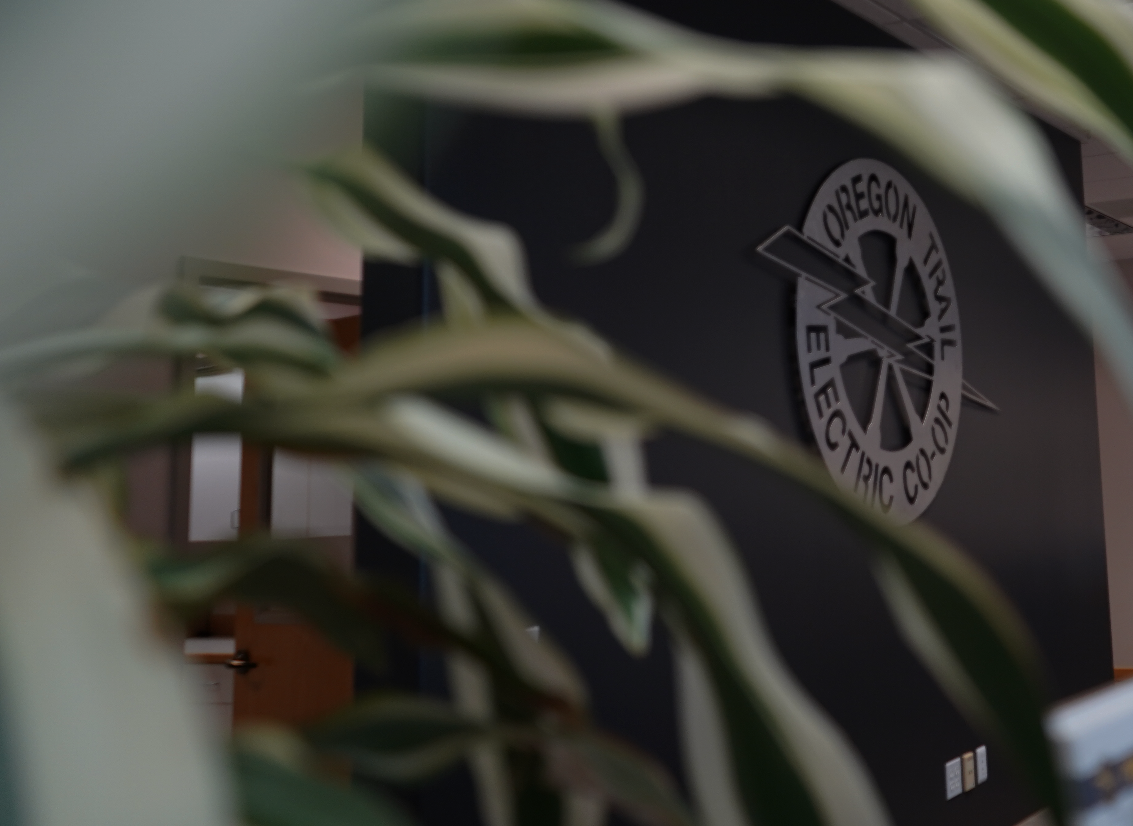OTEC sign through a plant darkened