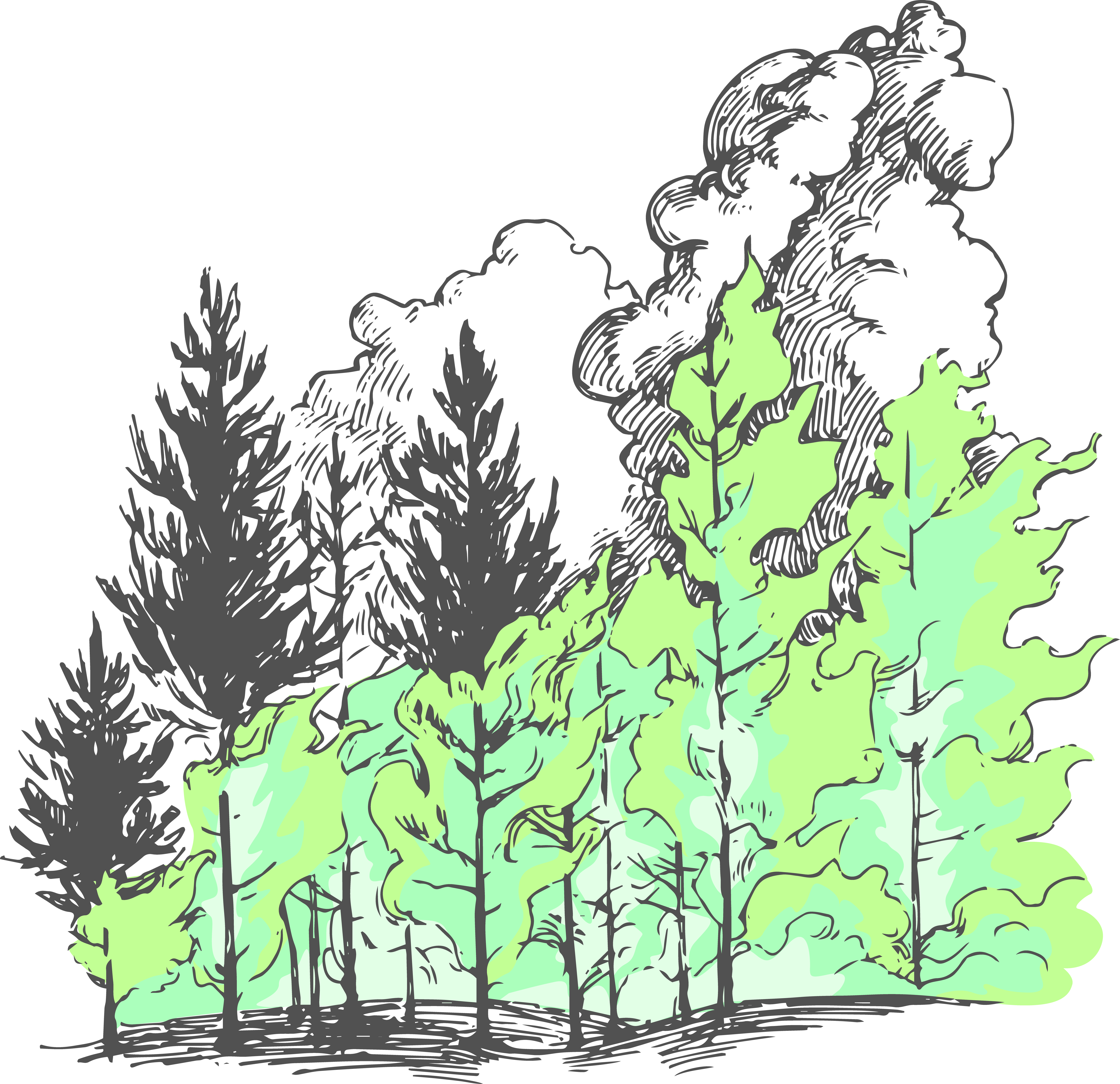 line art of wildfire