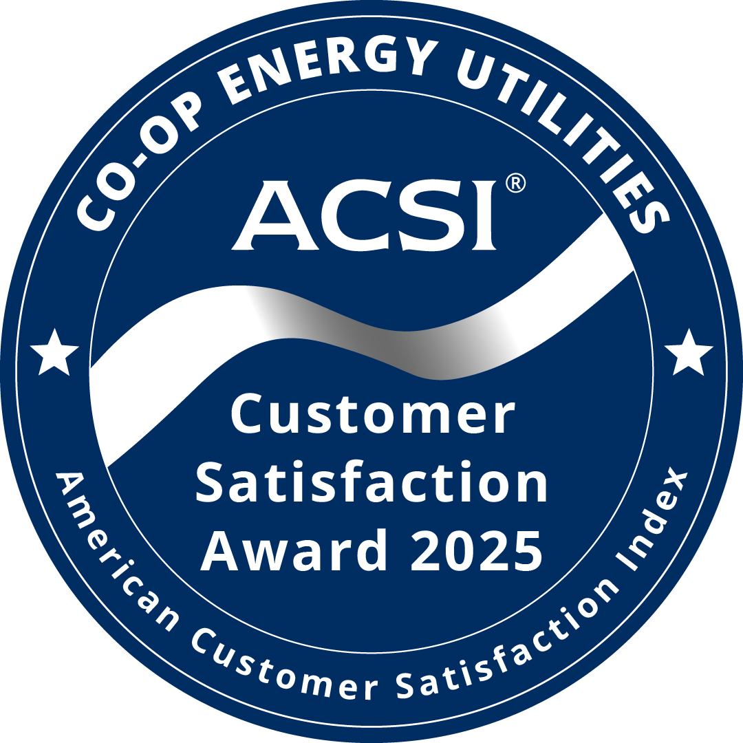 acsi 2025 badge top 25%