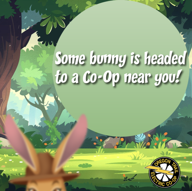 Teaser photo of Ember Hare