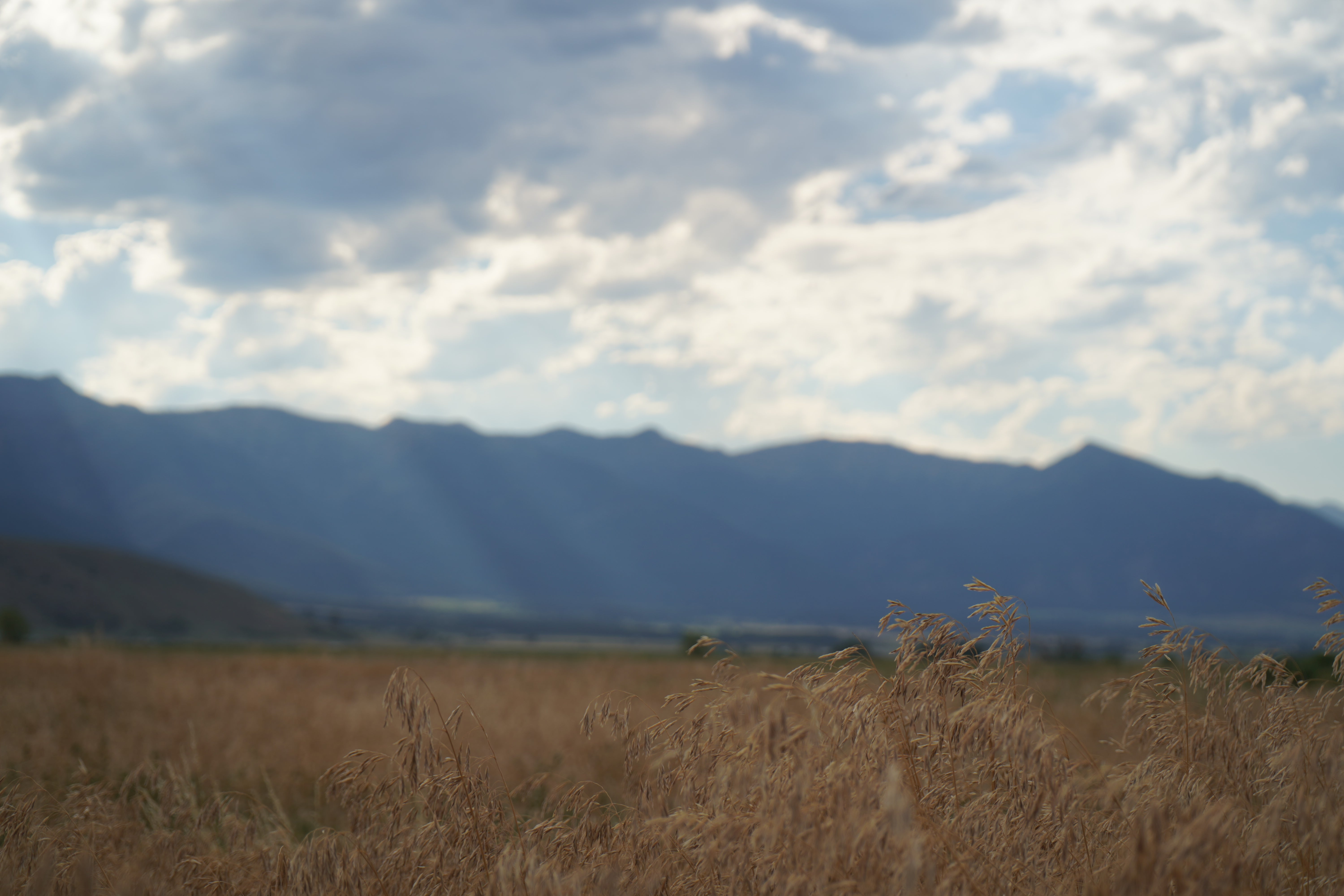 placeholder mountains