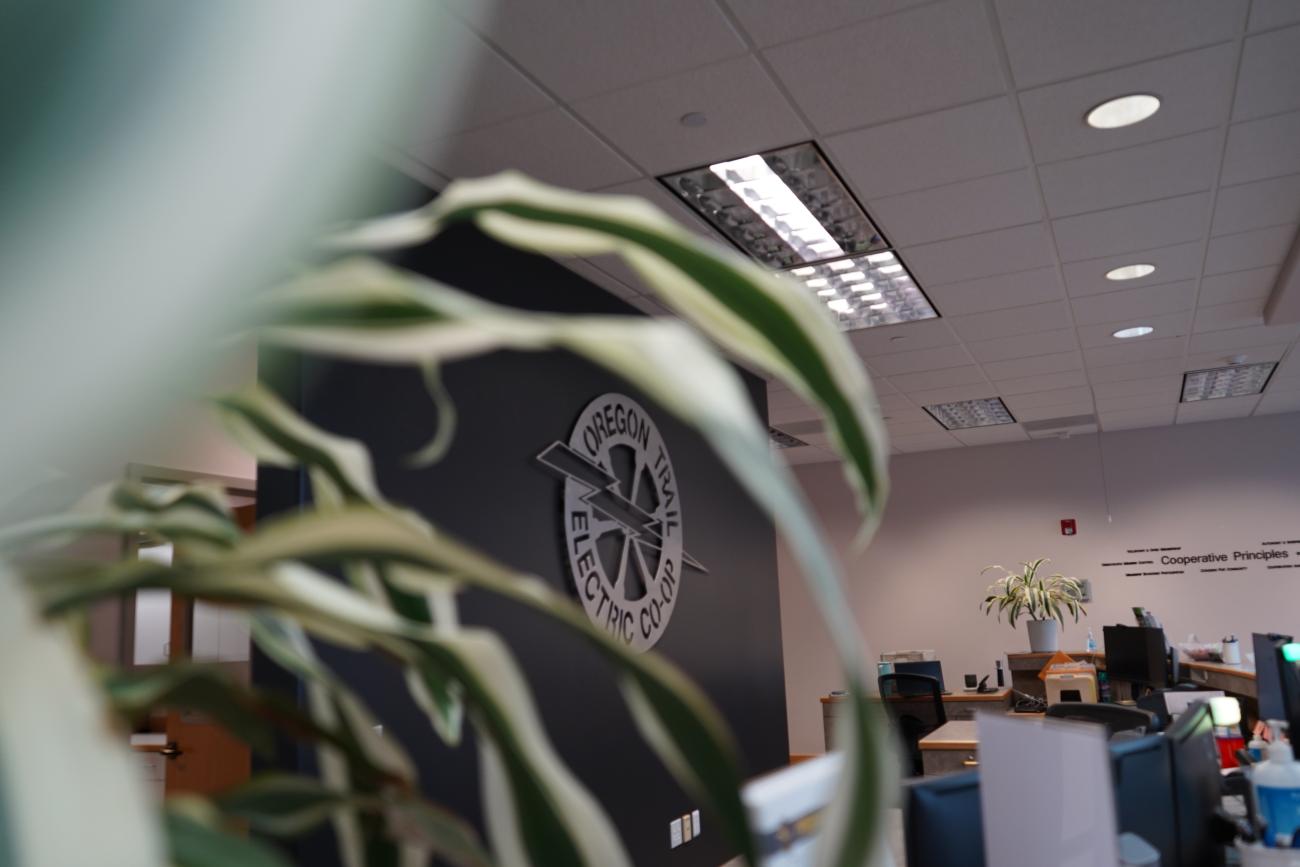 A photo of the otec logo through plants at headquarters